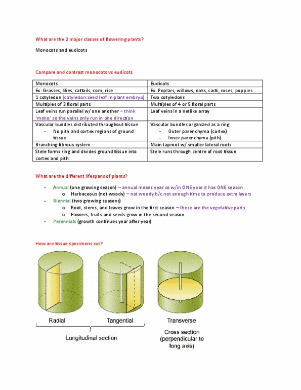 BIOA02H3 Lecture Notes - Lecture 2: Active Transport, Flowering Plant, Stoma thumbnail