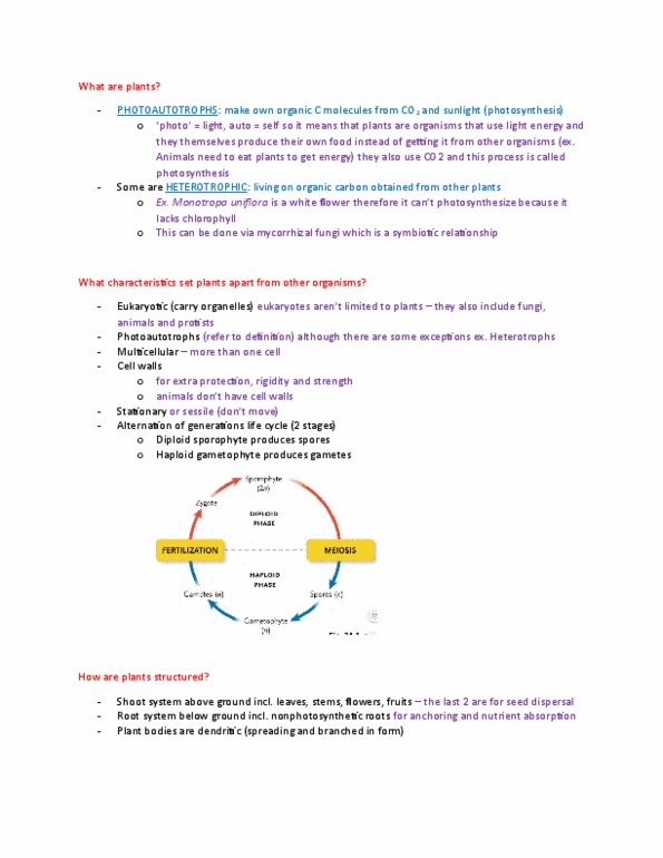 BIOA02H3 Lecture Notes - Lecture 1: Lignin, Photon, Stoma thumbnail