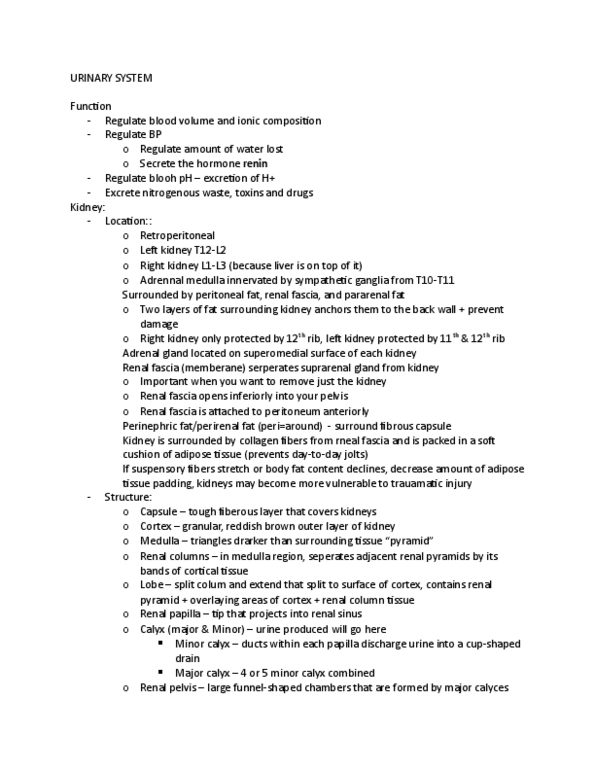 ANAT200 Lecture Notes - Lecture 20: Rugae, Muscular Layer, Urethra thumbnail