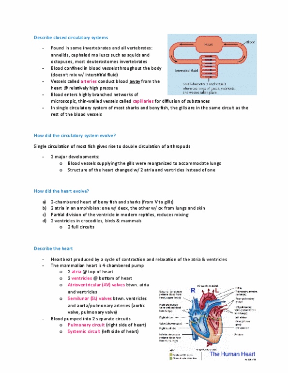 BIOA02H3 Lecture Notes - Lecture 18: Anticoagulant, Cellulase, Gastrointestinal Tract thumbnail