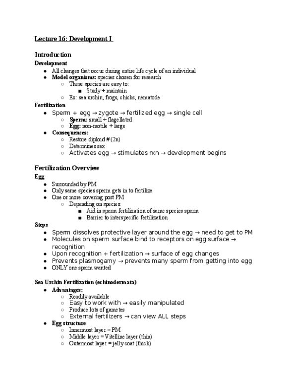 01:119:116 Lecture Notes - Lecture 16: Blastula, Celestial Equator, Gastrulation thumbnail