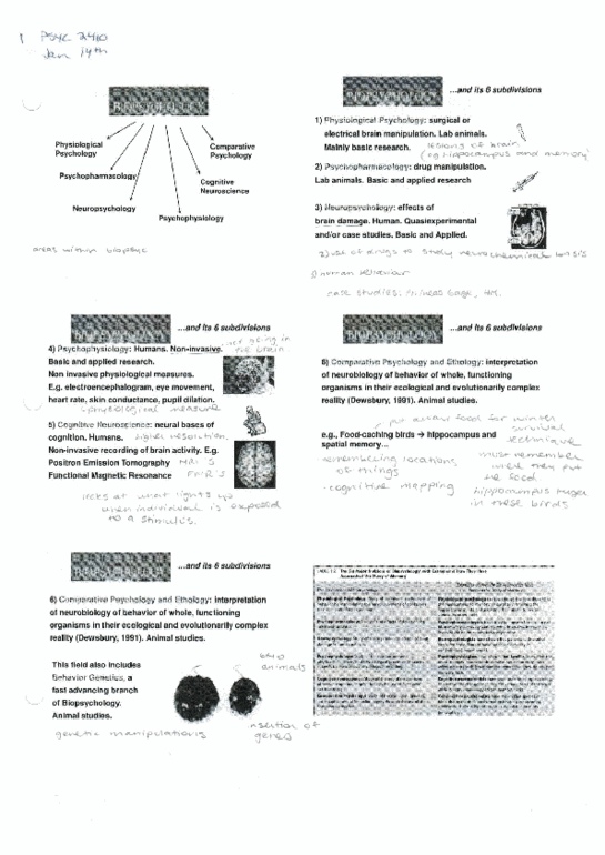 PSYC 2410 Lecture Notes - Lecture 2: Positron Emission Tomography, Thiamine, Electrodermal Activity thumbnail