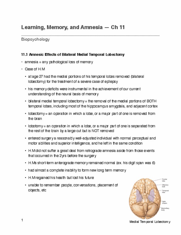 PSYC 2410 Chapter Notes - Chapter 11: Temporal Lobe, Anterograde Amnesia, Coronary Artery Bypass Surgery thumbnail