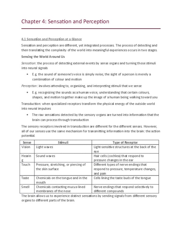 PSY100H1 Chapter Notes - Chapter 4: Mcgurk Effect, Stapes, Neuroimaging thumbnail