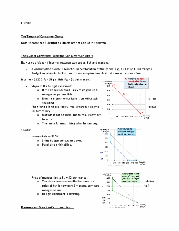 ECO101H1 Lecture Notes - Lecture 6: Budget Constraint, Indifference Curve thumbnail