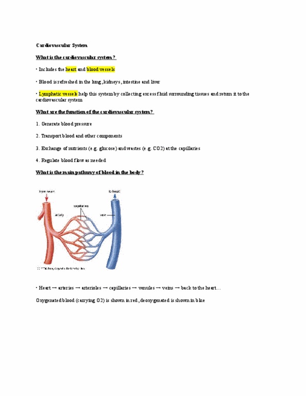 HSCI 100 Lecture Notes - Lecture 9: Heart Valve, Pulmonary Vein, Varicose Veins thumbnail