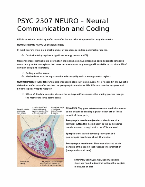 PSYC 2307 Lecture Notes - Lecture 3: Neurotransmitter Receptor, Axon Terminal, Neural Coding thumbnail