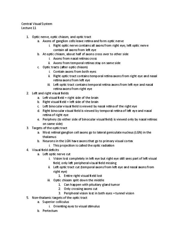 01:146:295 Lecture Notes - Lecture 11: Outline Of Object Recognition, Peripheral Vision, Ocular Dominance thumbnail