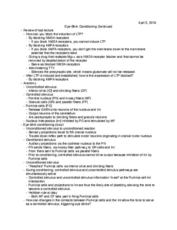 PSYCH 230 Lecture Notes - Lecture 22: Hebbian Theory, Inferior Olivary Nucleus, Eyeblink Conditioning thumbnail