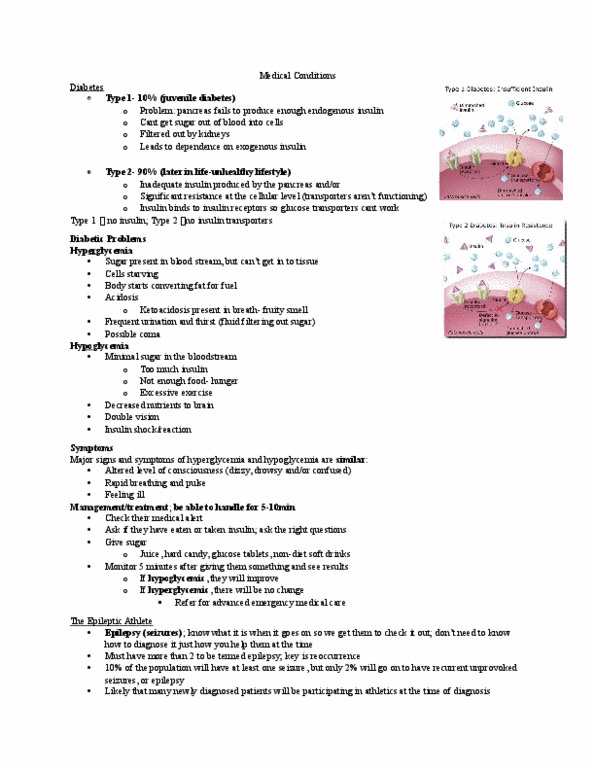 Kinesiology 2236A/B Lecture Notes - Lecture 6: Ankylosing Spondylitis, Clonus, Frequent Urination thumbnail