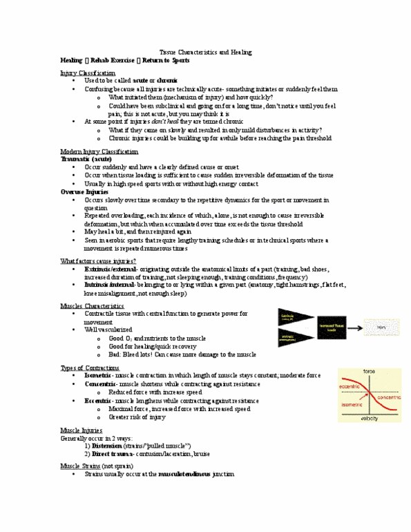 Kinesiology 2236A/B Lecture Notes - Lecture 4: Connective Tissue, Tendinosis, Blood Vessel thumbnail