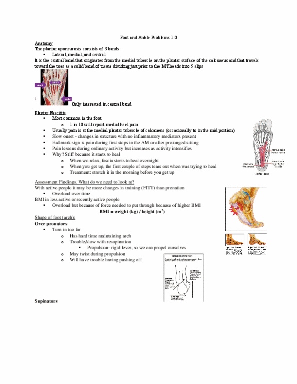 Kinesiology 2236A/B Lecture Notes - Lecture 14: Neuroma, Anatomical Terms Of Location, Sesamoiditis thumbnail
