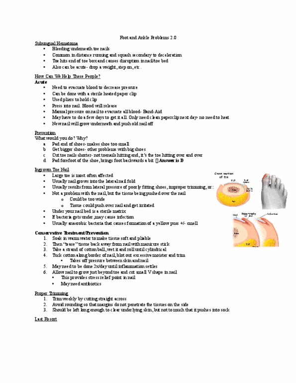 Kinesiology 2236A/B Lecture Notes - Lecture 15: Palpation, Paper Clip, Hematoma thumbnail