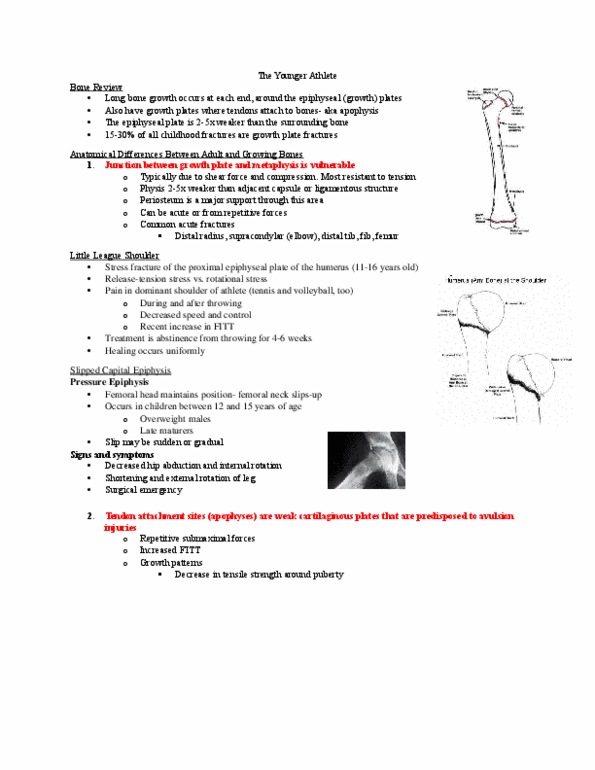 Kinesiology 2236A/B Lecture Notes - Lecture 22: Weight-Bearing, Avulsion Injury, Periosteum thumbnail