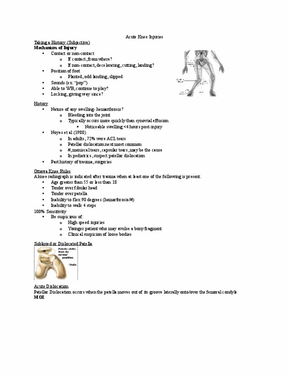 Kinesiology 2236A/B Lecture Notes - Lecture 17: Popliteus Muscle, May Report, Lower Extremity Of Femur thumbnail
