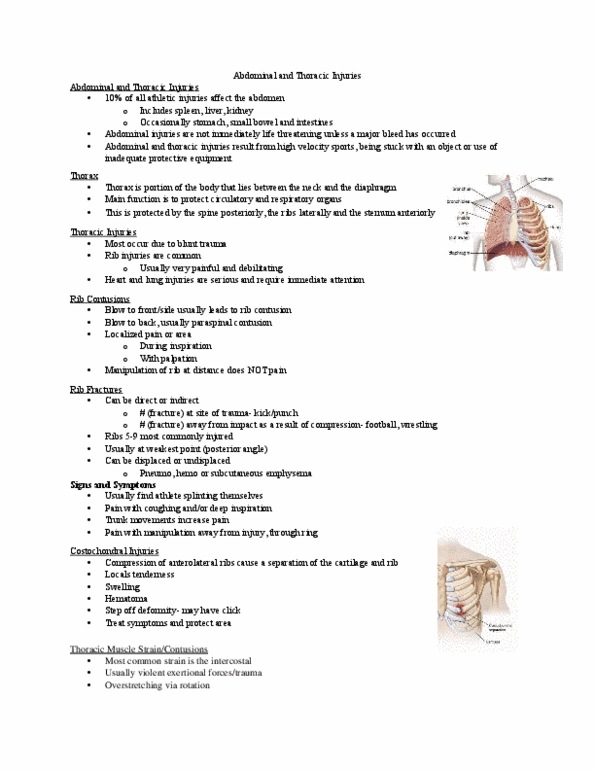 Kinesiology 2236A/B Lecture Notes - Lecture 19: Palpation, Cyanosis, Perineum thumbnail