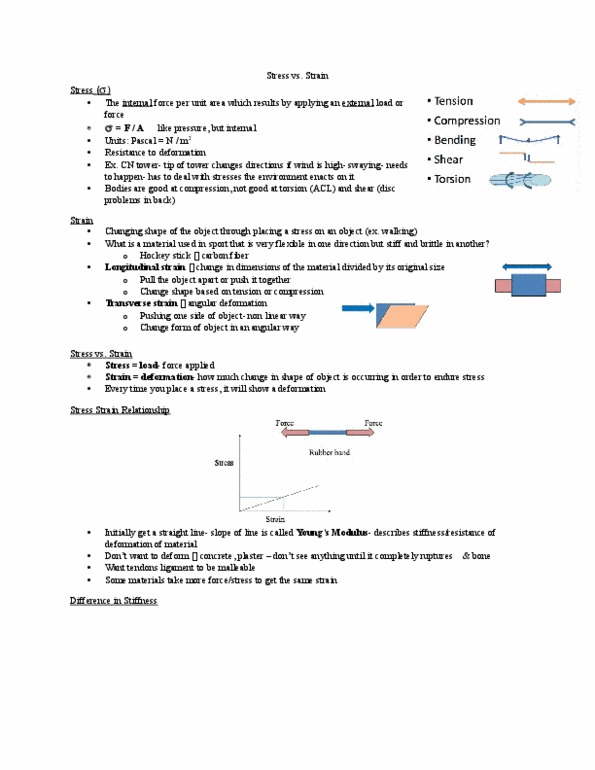 Kinesiology 2241A/B Lecture Notes - Lecture 10: Small-C, Cn Tower, Hockey Stick thumbnail
