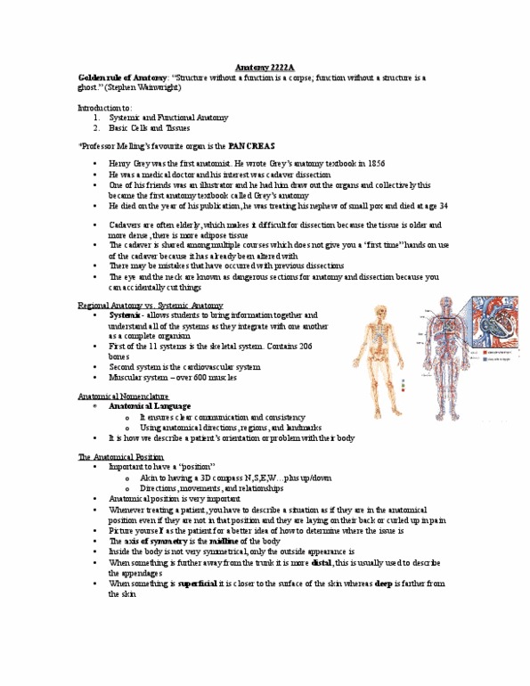 Kinesiology 2222A/B Lecture Notes - Lecture 1: Muscular System, Osmosis, Smallpox thumbnail