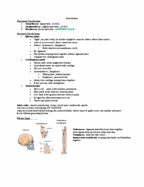 Kinesiology 2222A/B Lecture Notes - Lecture 5: Anatomical Terms Of Location, Plane Joint, Glenoid Labrum thumbnail