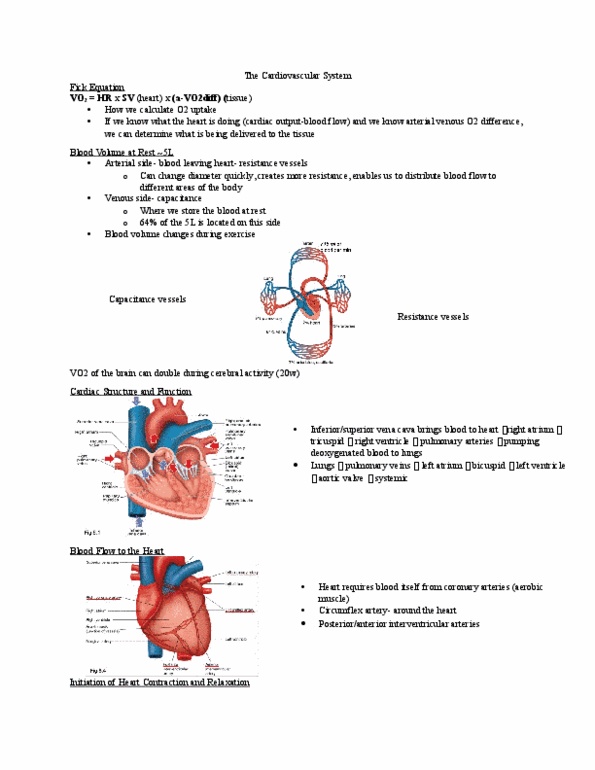 Kinesiology 2230A/B Lecture Notes - Lecture 1: Echocardiography, Sinoatrial Node, Bradycardia thumbnail