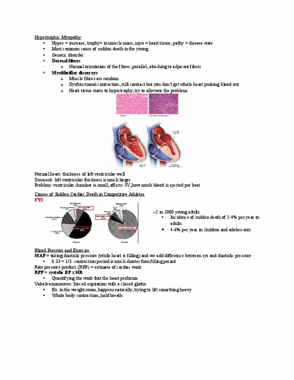 Kinesiology 2230A/B Lecture Notes - Lecture 2: Catecholamine, Valsalva Maneuver, Cardiac Arrest thumbnail