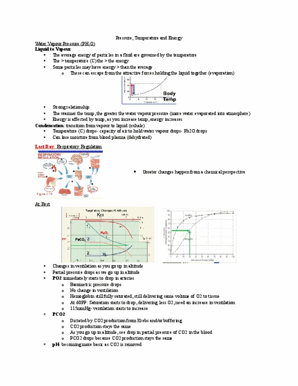 Kinesiology 2230A/B Lecture Notes - Lecture 6: Hyperventilation, Atmospheric Pressure, Blood Plasma thumbnail