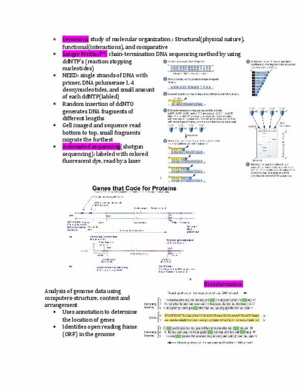 Chemical and Biochemical Engineering 2290A/B Lecture Notes - Lecture 12: Hybridization Probe, Shotgun Sequencing, Metagenomics thumbnail