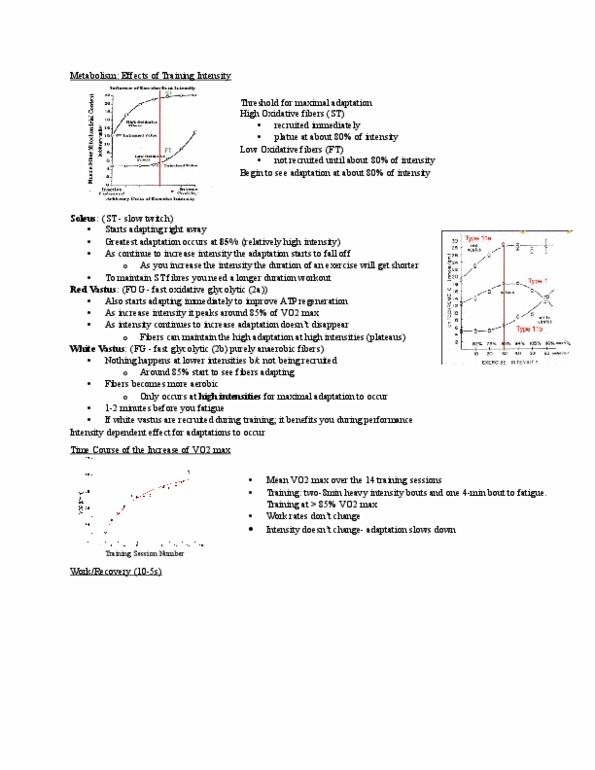 Kinesiology 2230A/B Lecture Notes - Lecture 2: Pyruvic Acid, Ejection Fraction, Cellular Respiration thumbnail