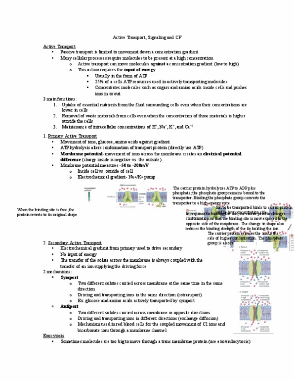 Biology 1202B Lecture Notes - Lecture 3: Phosphatase, Phagocytosis, Cell Membrane thumbnail