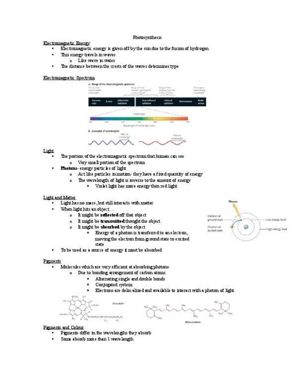 Biology 1202B Lecture Notes - Lecture 6: Atp Synthase, Photon, Action Spectrum thumbnail
