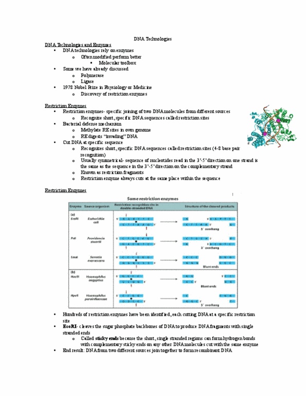 Biology 1202B Lecture Notes - Lecture 17: Filter Paper, Ethidium Bromide, Northern Blot thumbnail