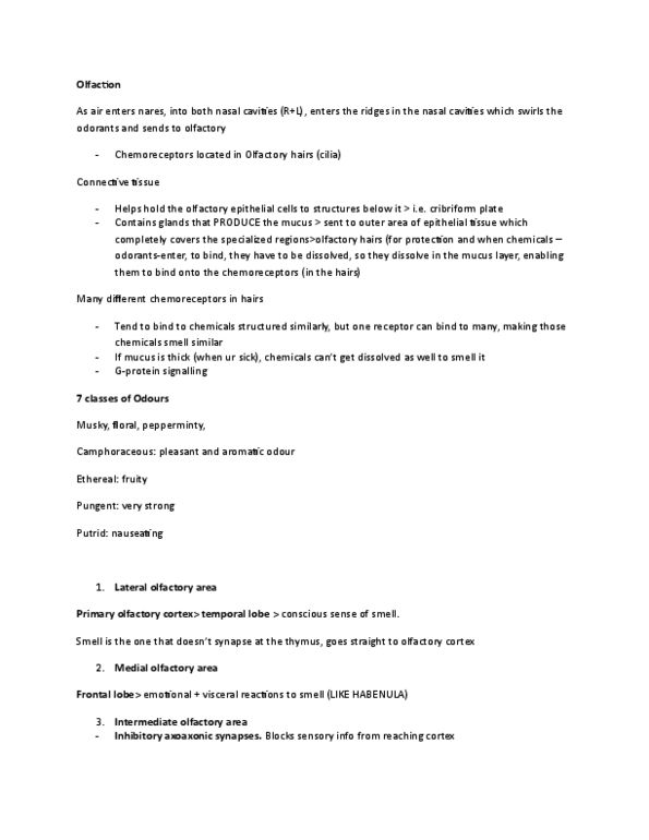 KINESIOL 1Y03 Lecture Notes - Lecture 20: Frontal Lobe, Cochlea, Thalamus thumbnail