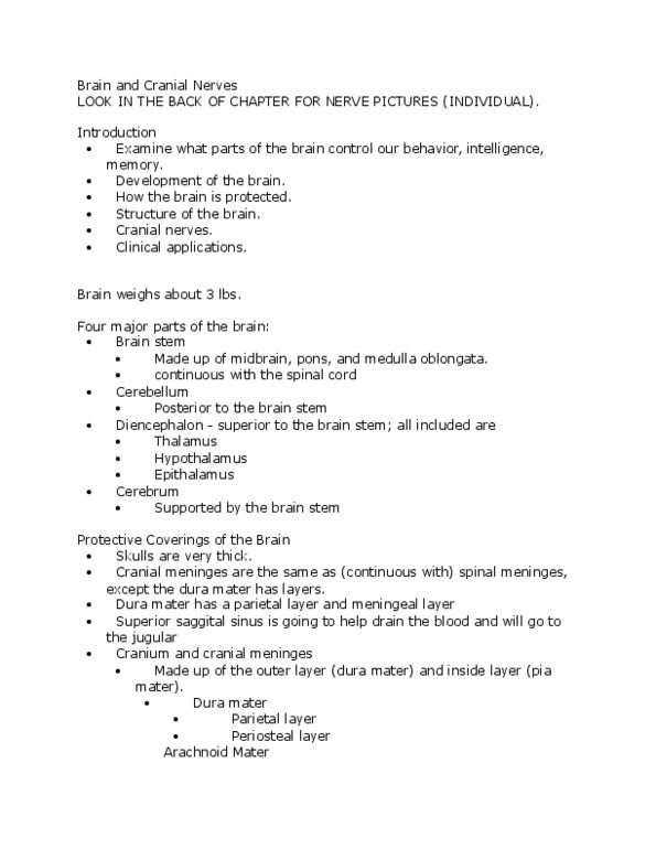 KIN 2500 Lecture Notes - Lecture 19: Wound, Brain Tumor, Central Sulcus thumbnail