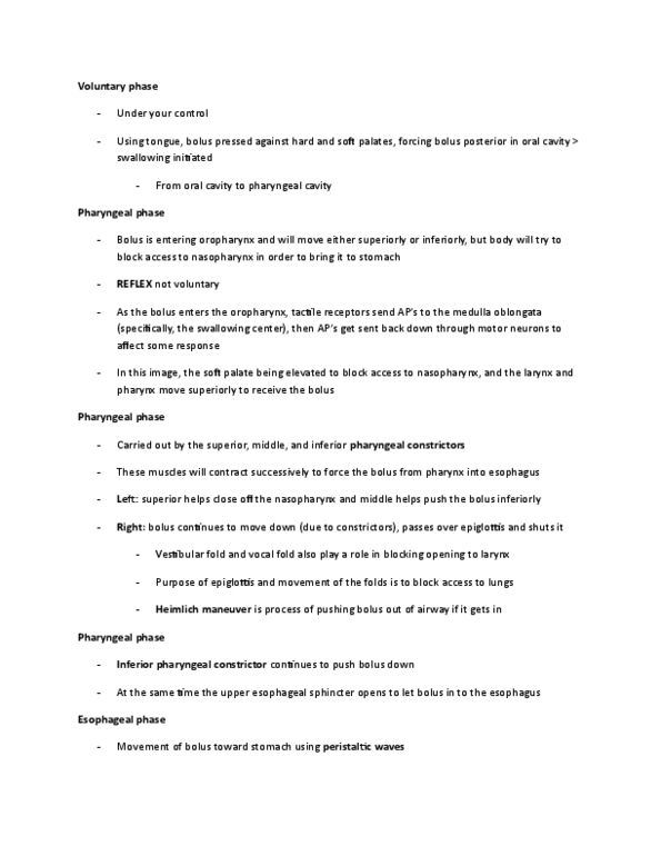 KINESIOL 1YY3 Lecture Notes - Lecture 17: Amylase, Epiglottis, Rugae thumbnail