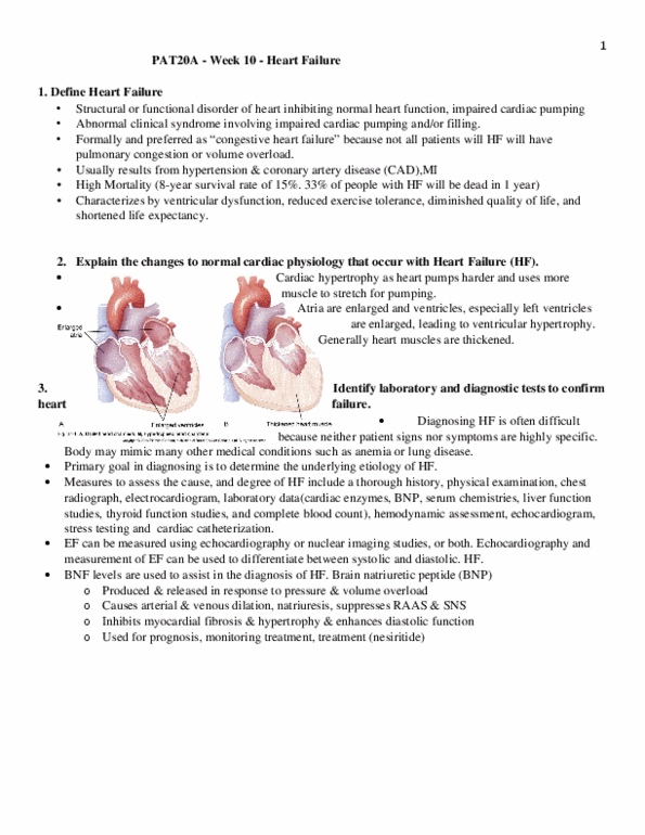 PAT 20A/B Lecture Notes - Lecture 9: Loop Diuretic, Pulmonary Vein, Diastolic Heart Failure thumbnail