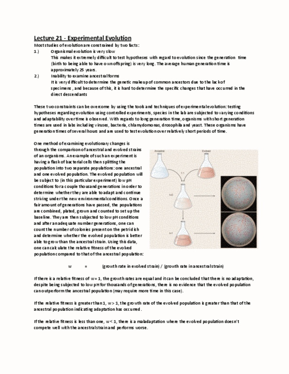 Biology 1002B Lecture Notes - Lecture 10: Escherichia Coli, Chlamydomonas, Evoluon thumbnail