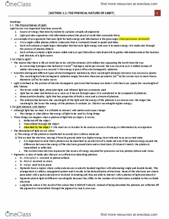 Biology 1002B Lecture Notes - Lecture 2: Zygote, Multicellular Organism, Chlamydomonas thumbnail