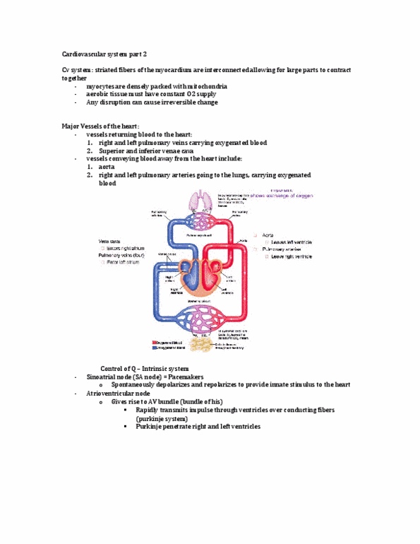 APA 2312 Lecture Notes - Lecture 14: Heart Sounds, Pulmonary Vein, Central Venous Pressure thumbnail