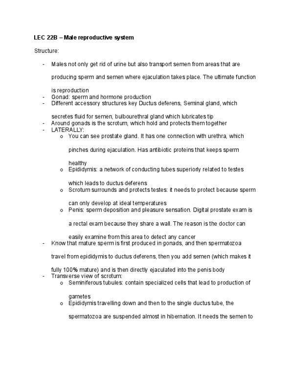 BIO210Y5 Lecture Notes - Lecture 22: Nurse Cell, Mitosis, Rectal Examination thumbnail