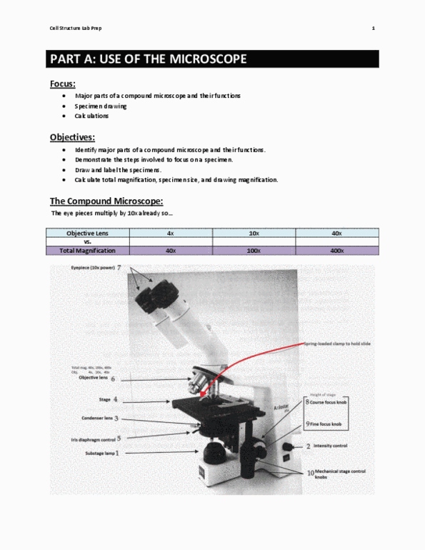 BISC 101 Chapter Notes -Zoom Lens, Microscope Slide, Optical Microscope thumbnail