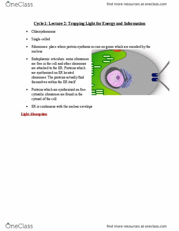 Biology 1002B Lecture Notes - Lecture 2: Optogenetics, Nuclear Membrane, Opsin thumbnail