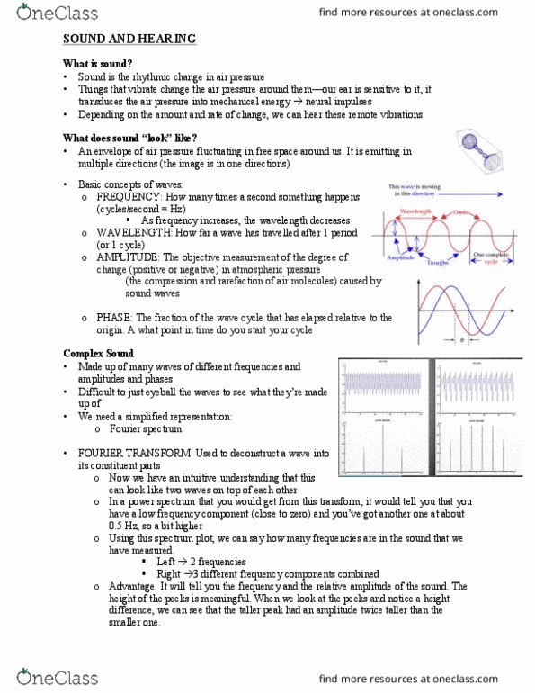 PSYC 212 Lecture Notes - Lecture 9: Fluid Mechanics, Low Frequency, Basilar Membrane thumbnail