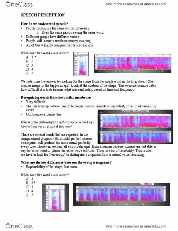 PSYC 212 Lecture Notes - Lecture 12: Repeatability, Auditory Cortex, S-Plane thumbnail