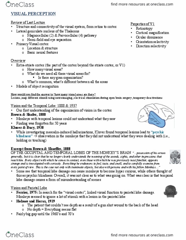 PSYC 212 Lecture Notes - Lecture 18: Fusiform Face Area, Retinotopy, White Matter thumbnail