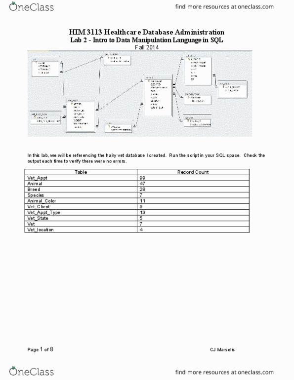 HIM 3113 Chapter Notes - Chapter 2: Minnesota State Highway 1, Check Constraint, Data Manipulation Language thumbnail