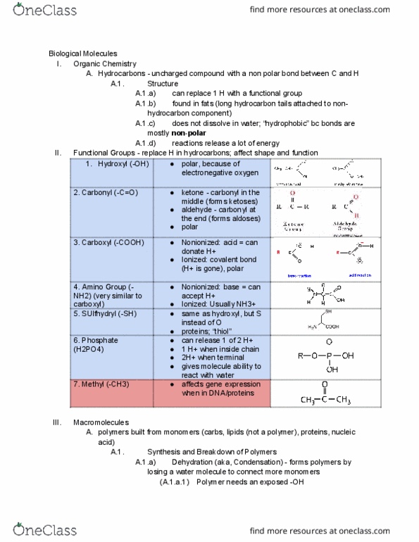 01:119:115 Lecture Notes - Lecture 3: Cell Nucleus, Hydroxy Group, Chemical Polarity thumbnail