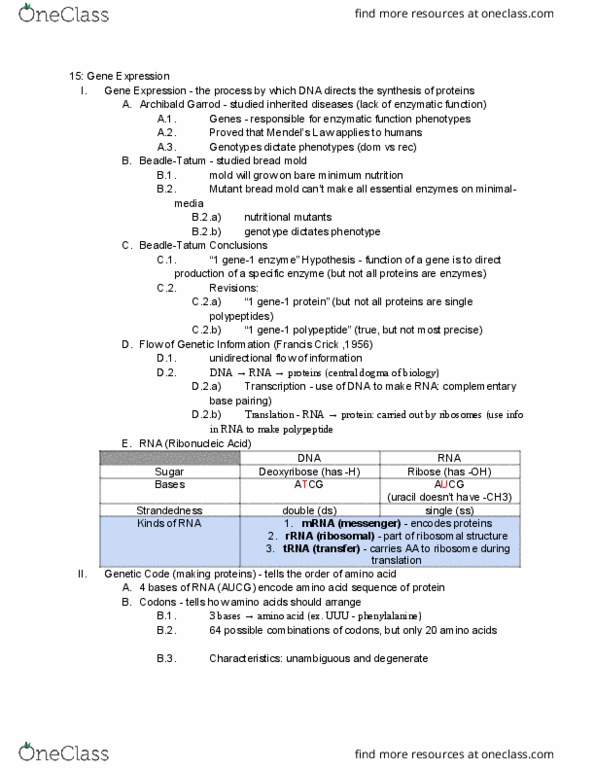 01:119:115 Lecture Notes - Lecture 15: Peptide, Polyadenylation, Ribose thumbnail