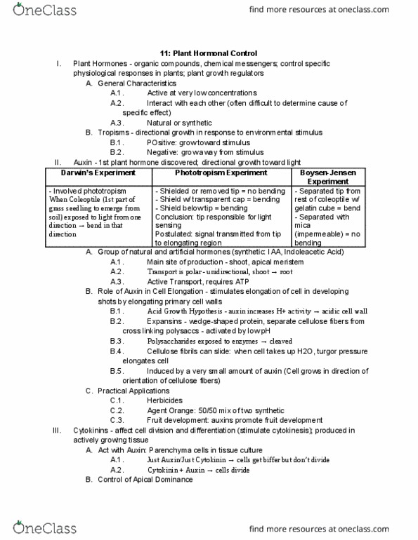 01:119:116 Lecture Notes - Lecture 11: Meristem, Auxin, Axillary Bud thumbnail