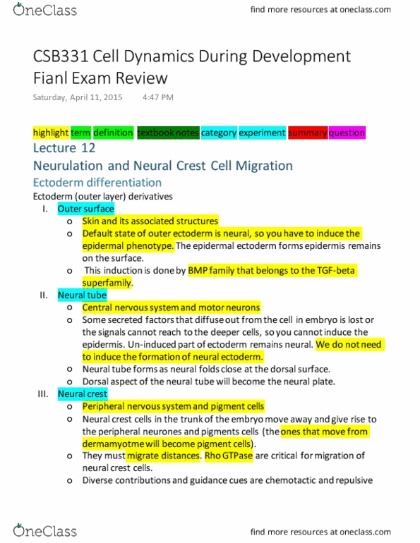 CSB331H1 Lecture Notes - Lecture 12: Sonic Hedgehog, Neurulation, Notochord thumbnail