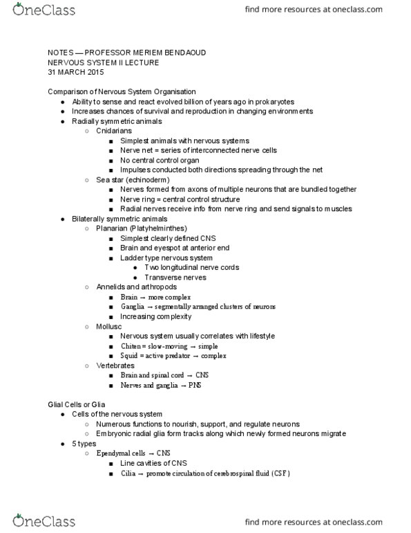 01:119:116 Lecture Notes - Lecture 19: Hypothalamus, Starfish, Prefrontal Cortex thumbnail